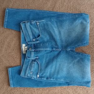 Madewell 10" High Rise Skinny Crop Jeans